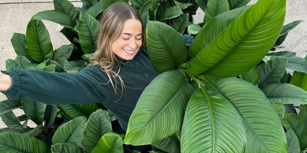 All Plants