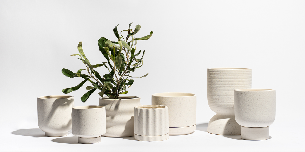 Indoor Pots