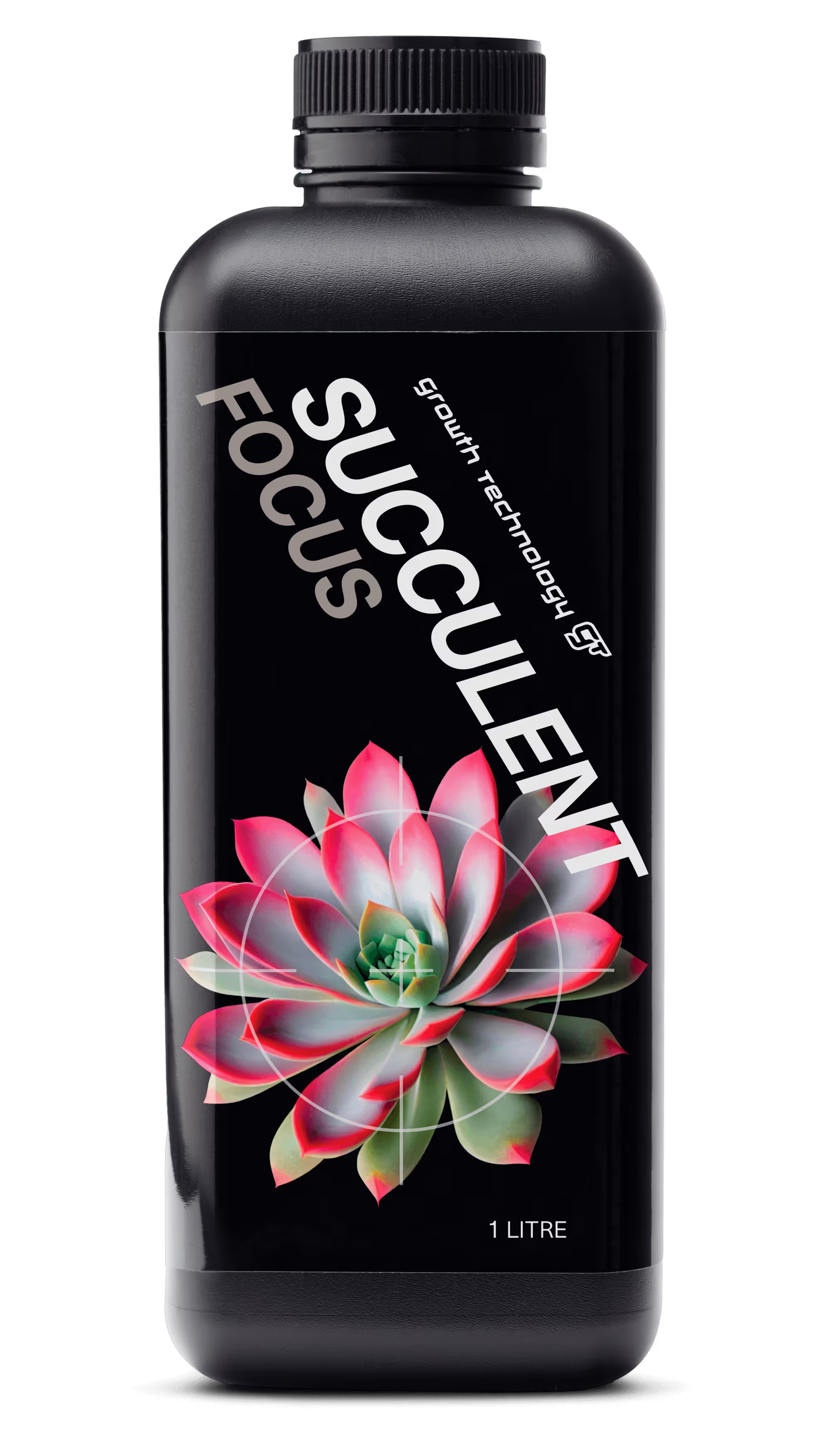Succulent Focus