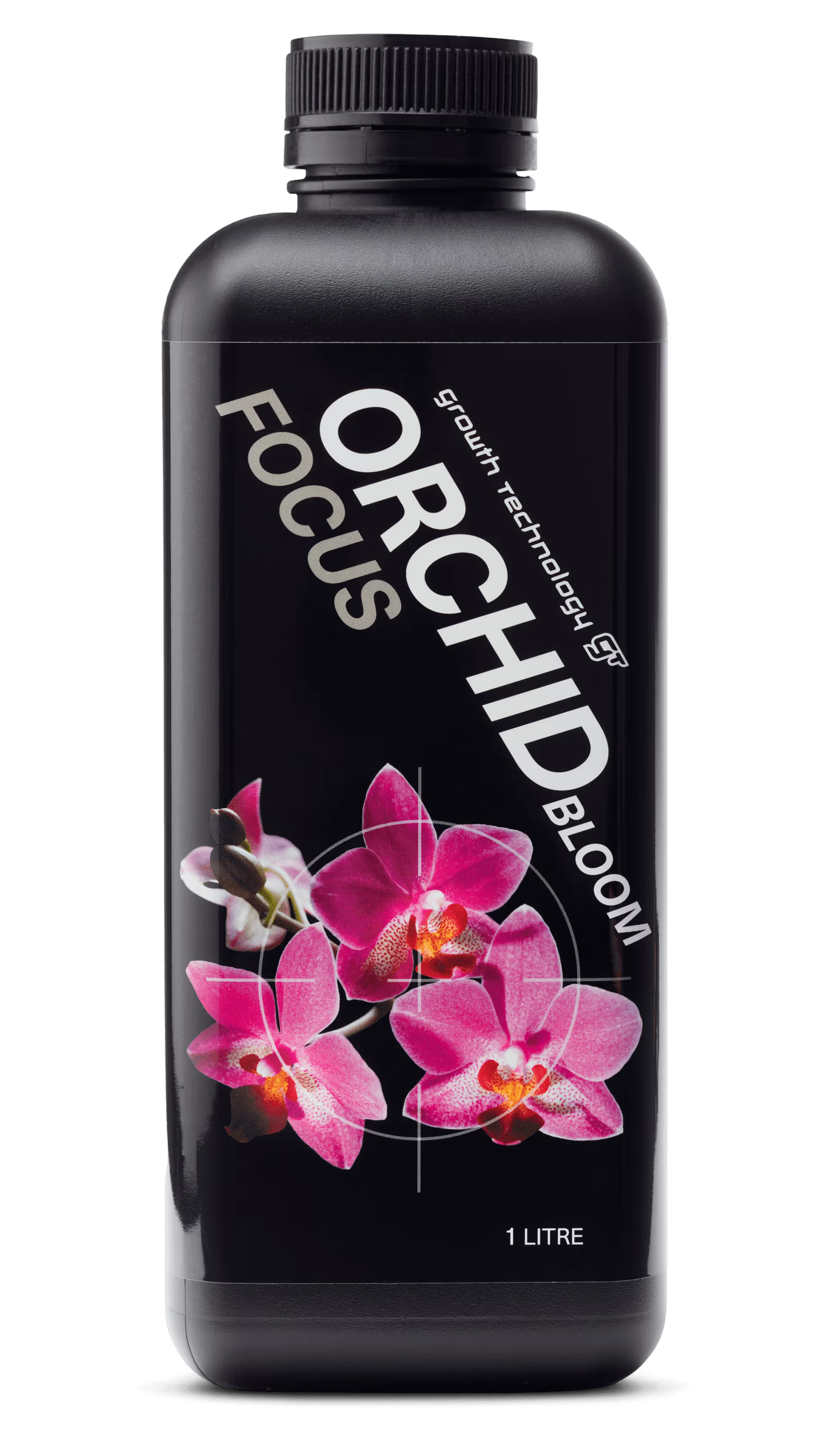 Orchid Bloom Focus
