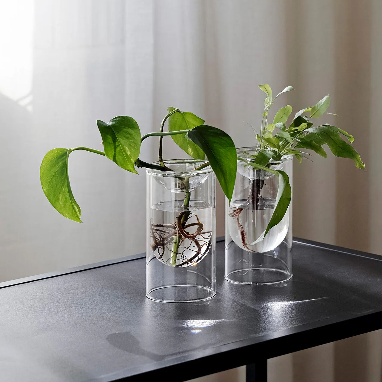 Propagation Vase - Set of Two