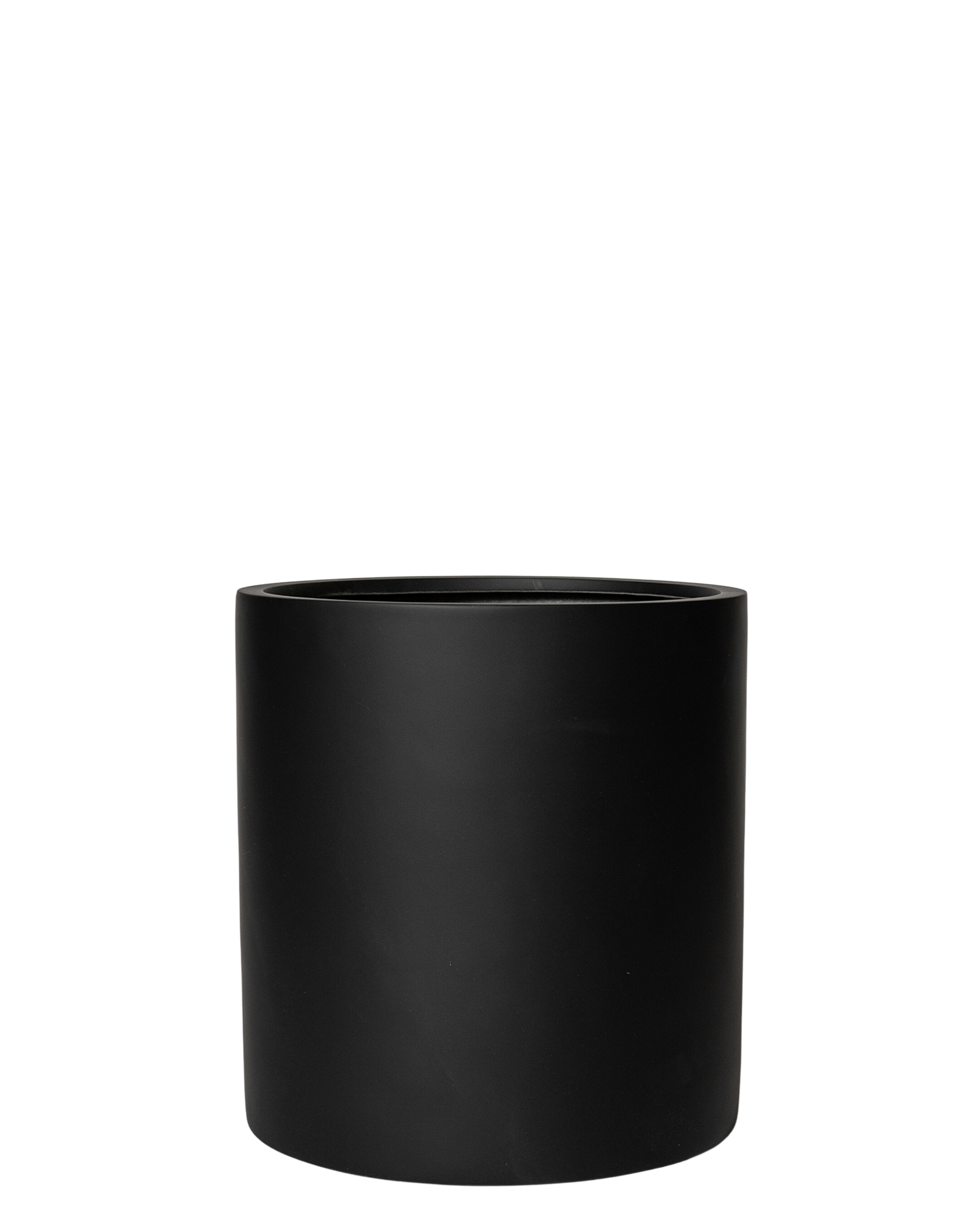 Joni Pot