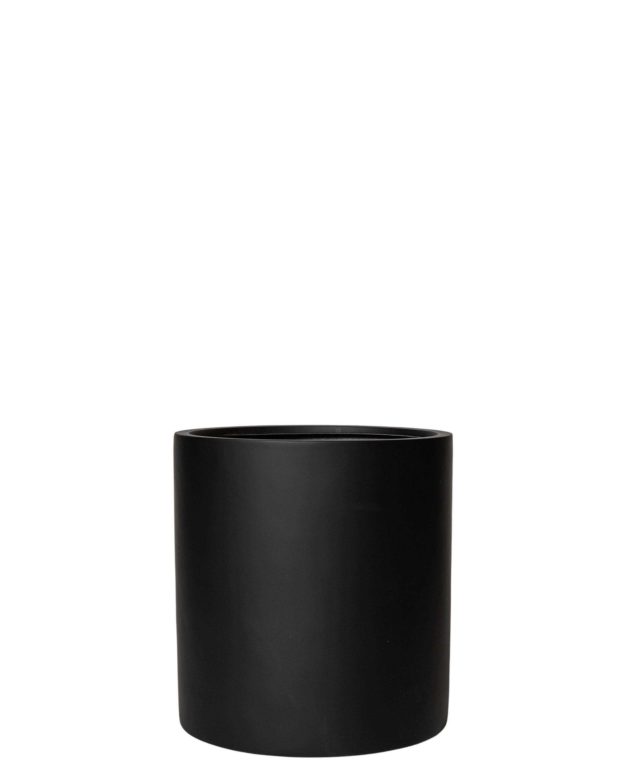 Joni Pot