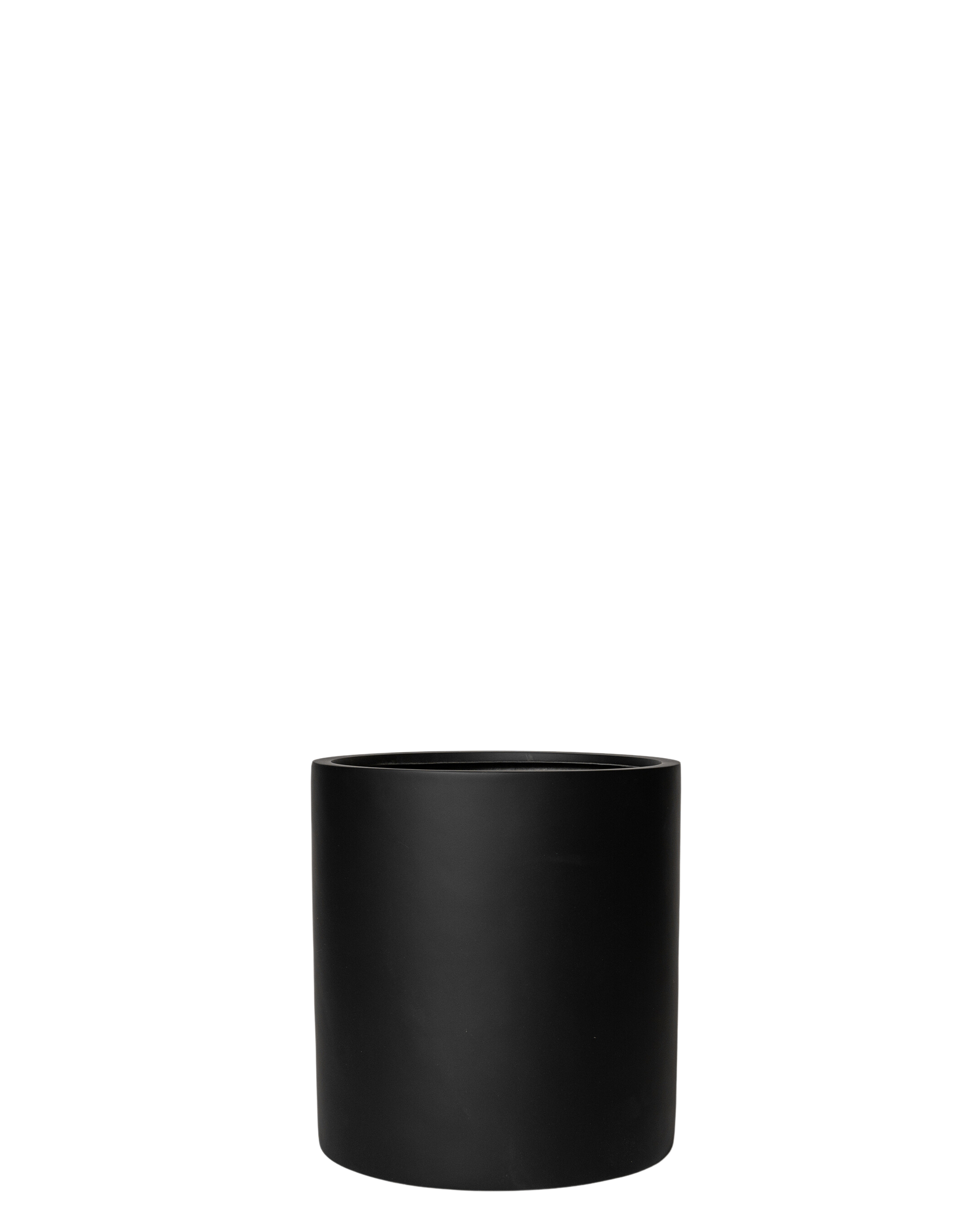 Joni Pot