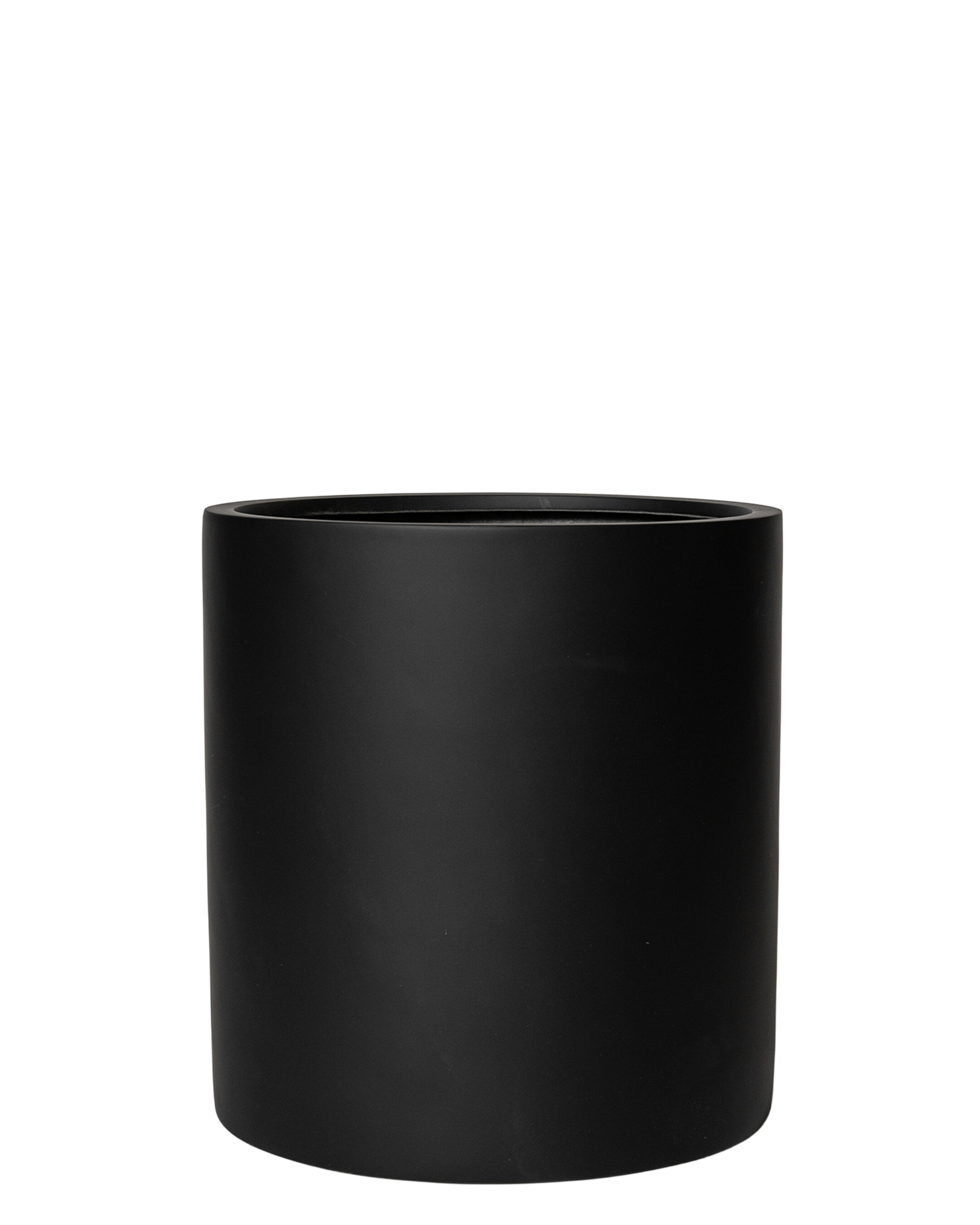 Joni Pot