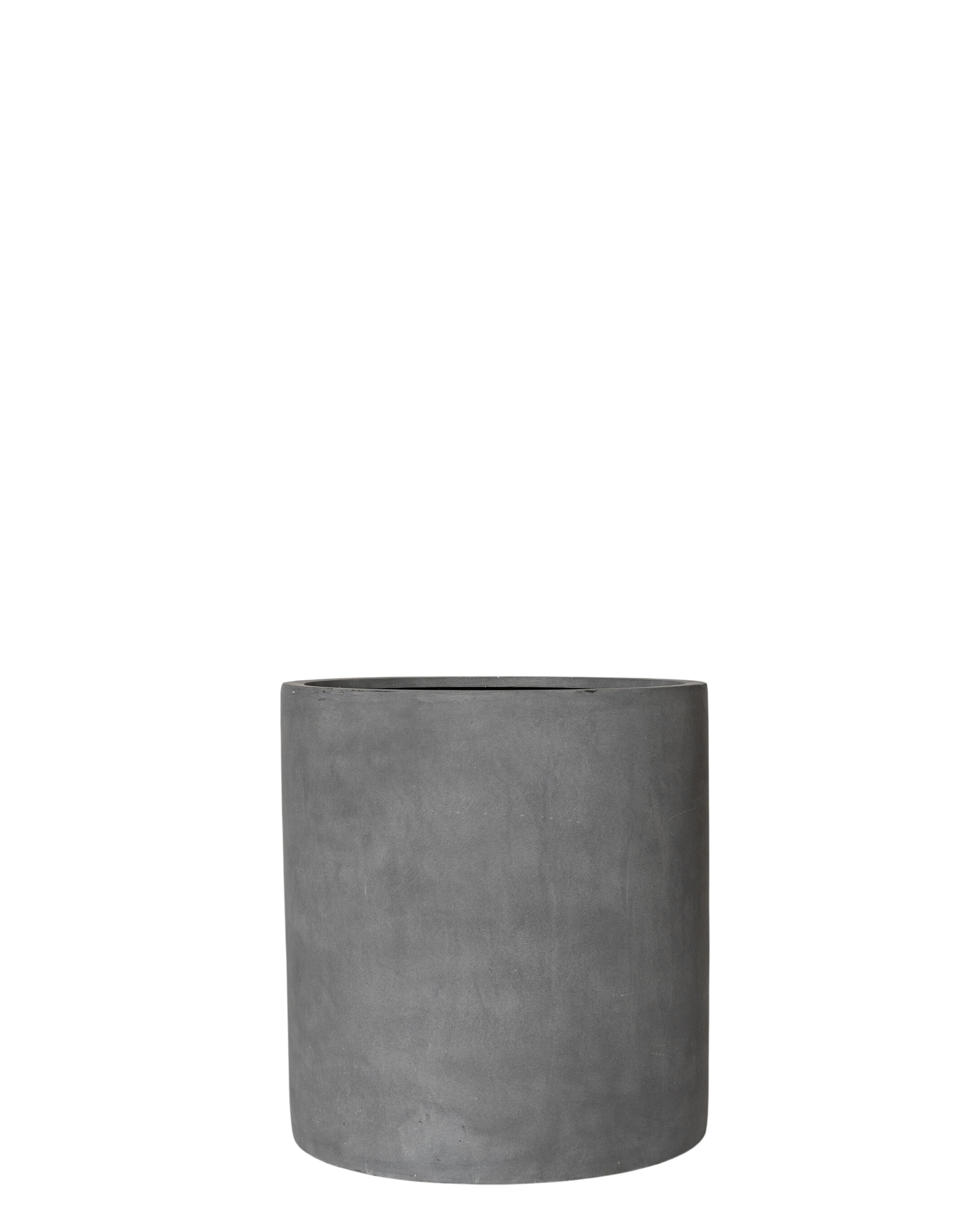 Joni Pot