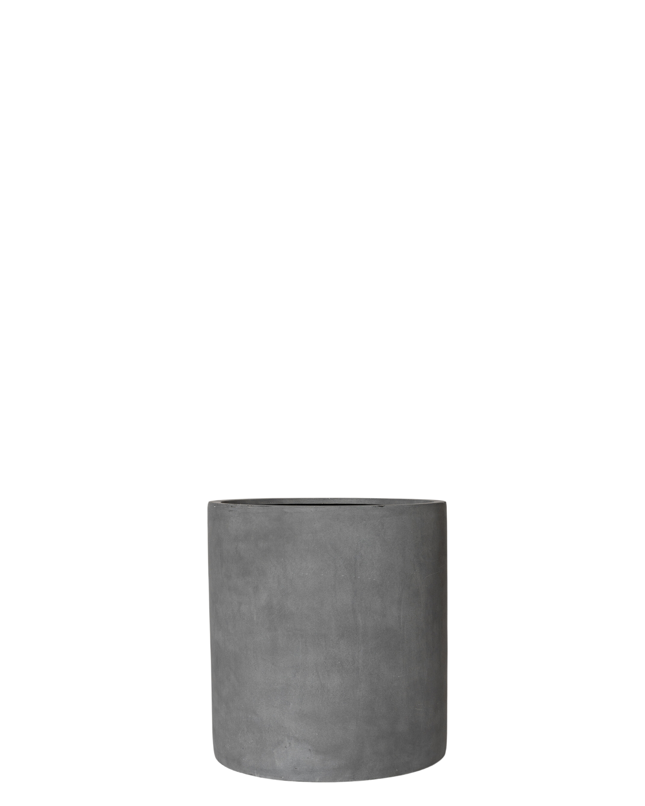 Joni Pot