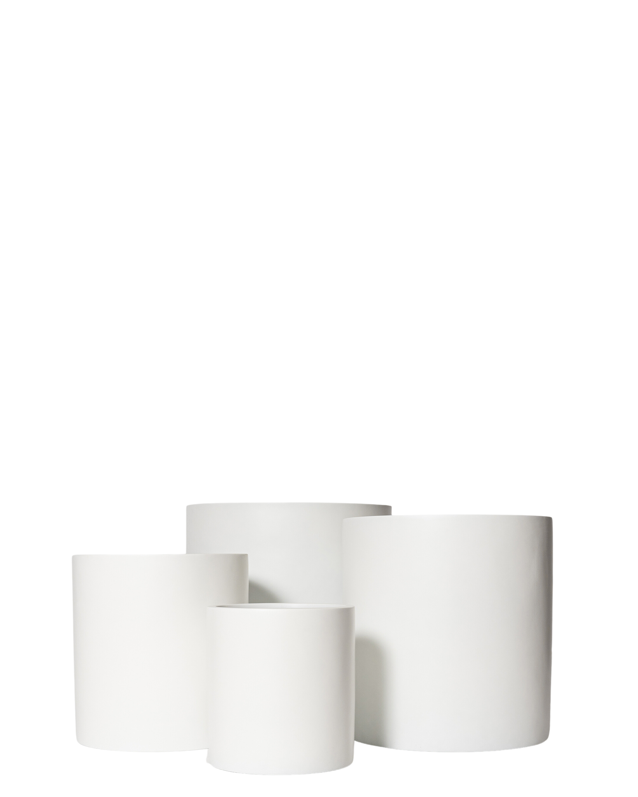 Joni Pot