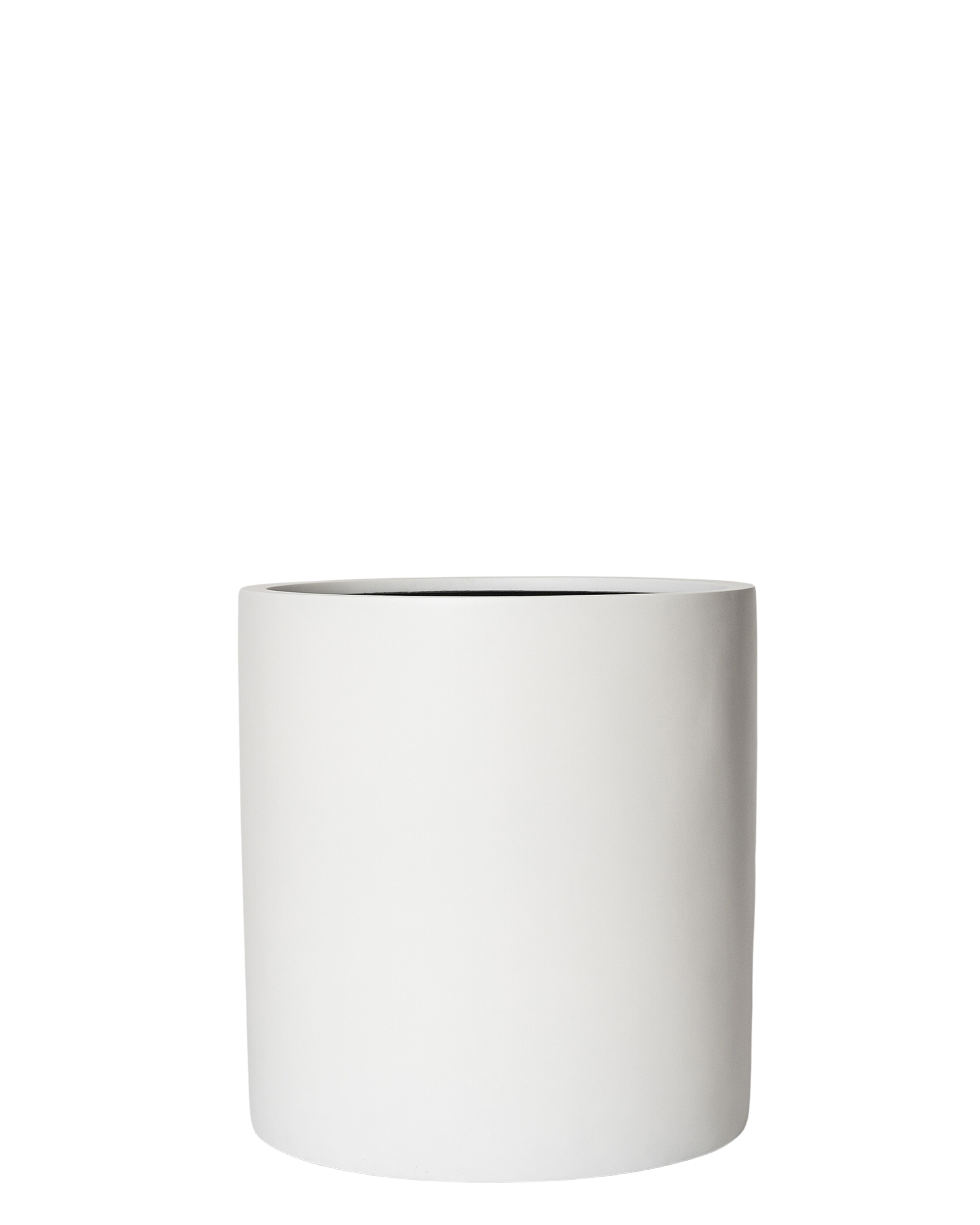 Joni Pot