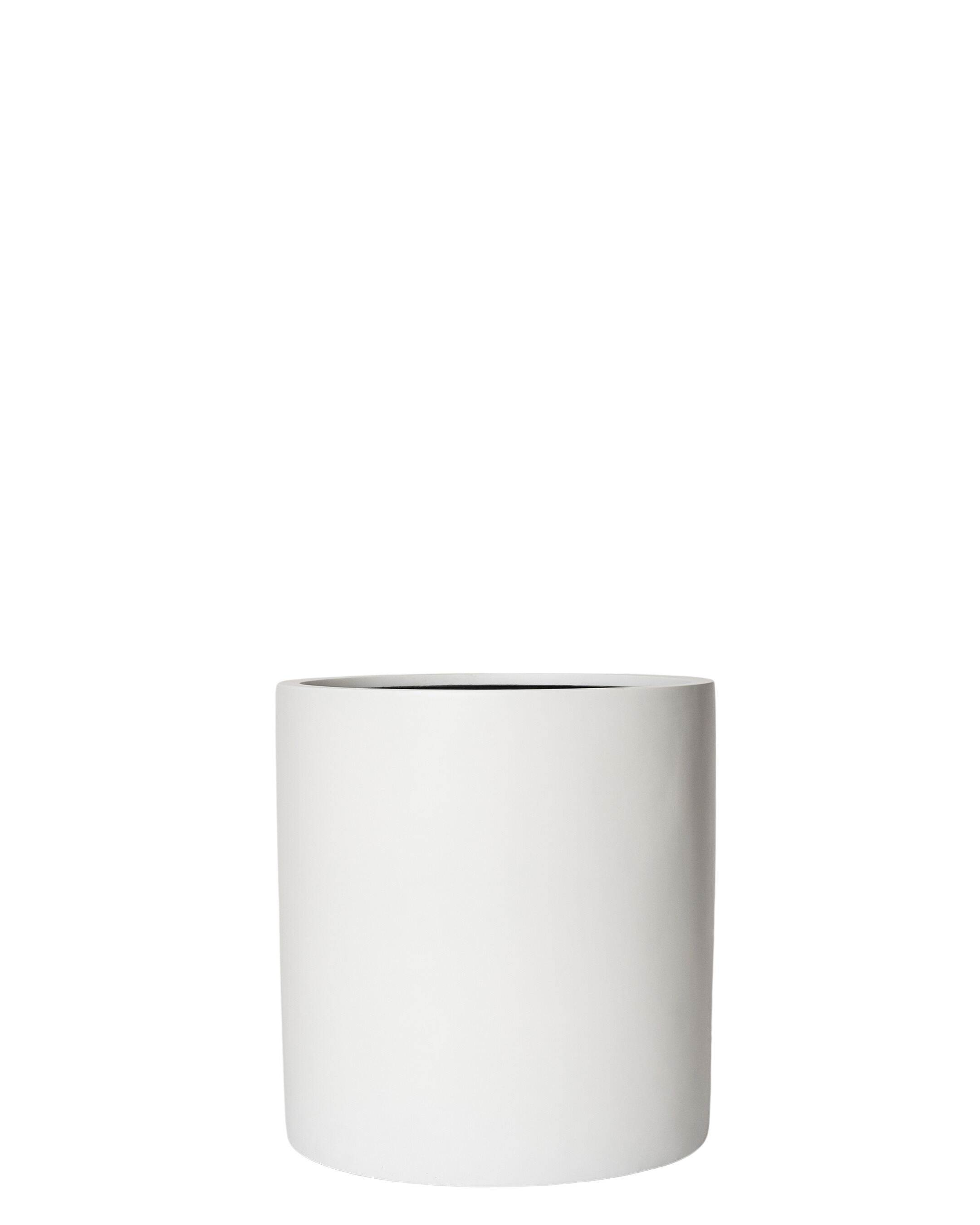 Joni Pot