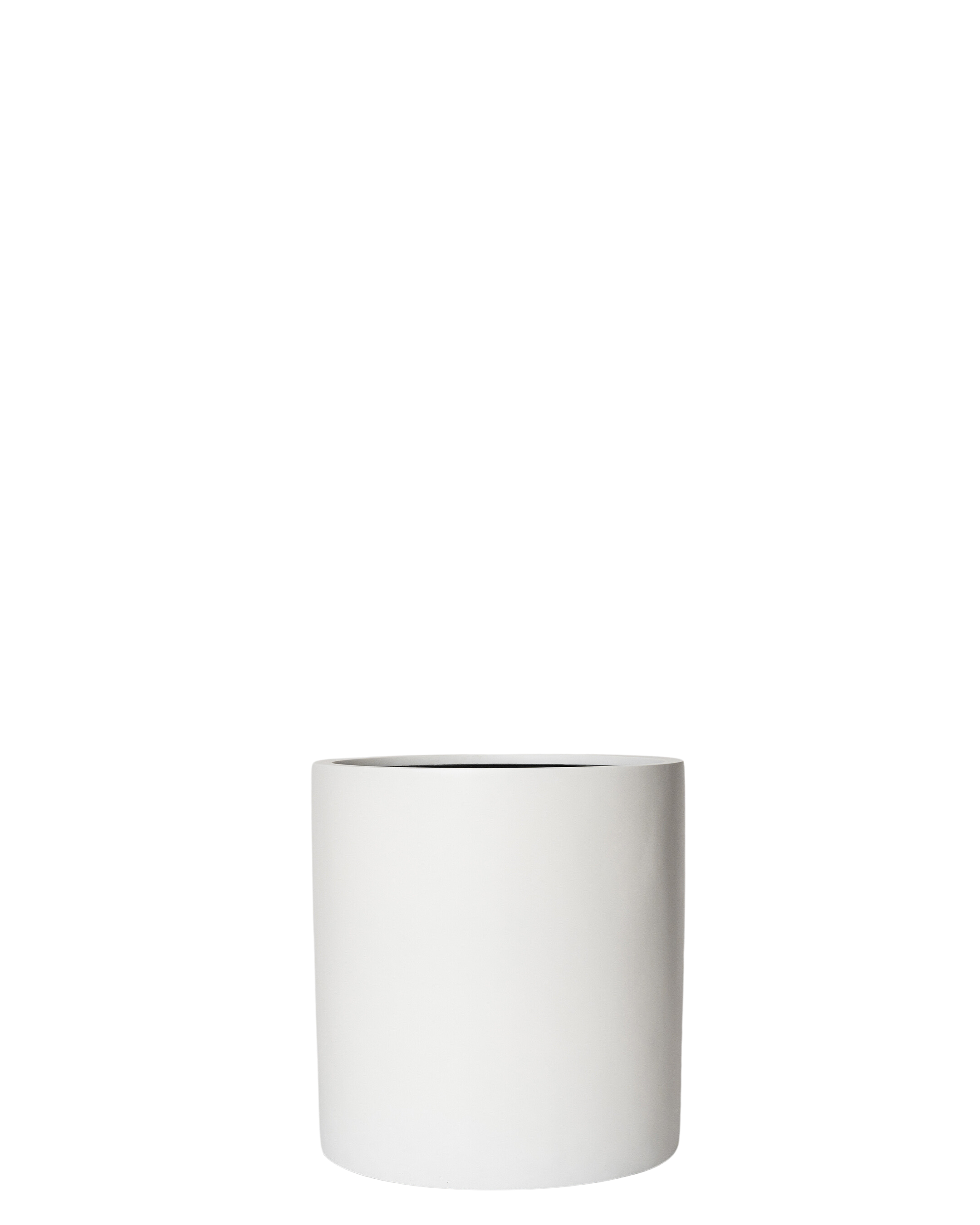Joni Pot