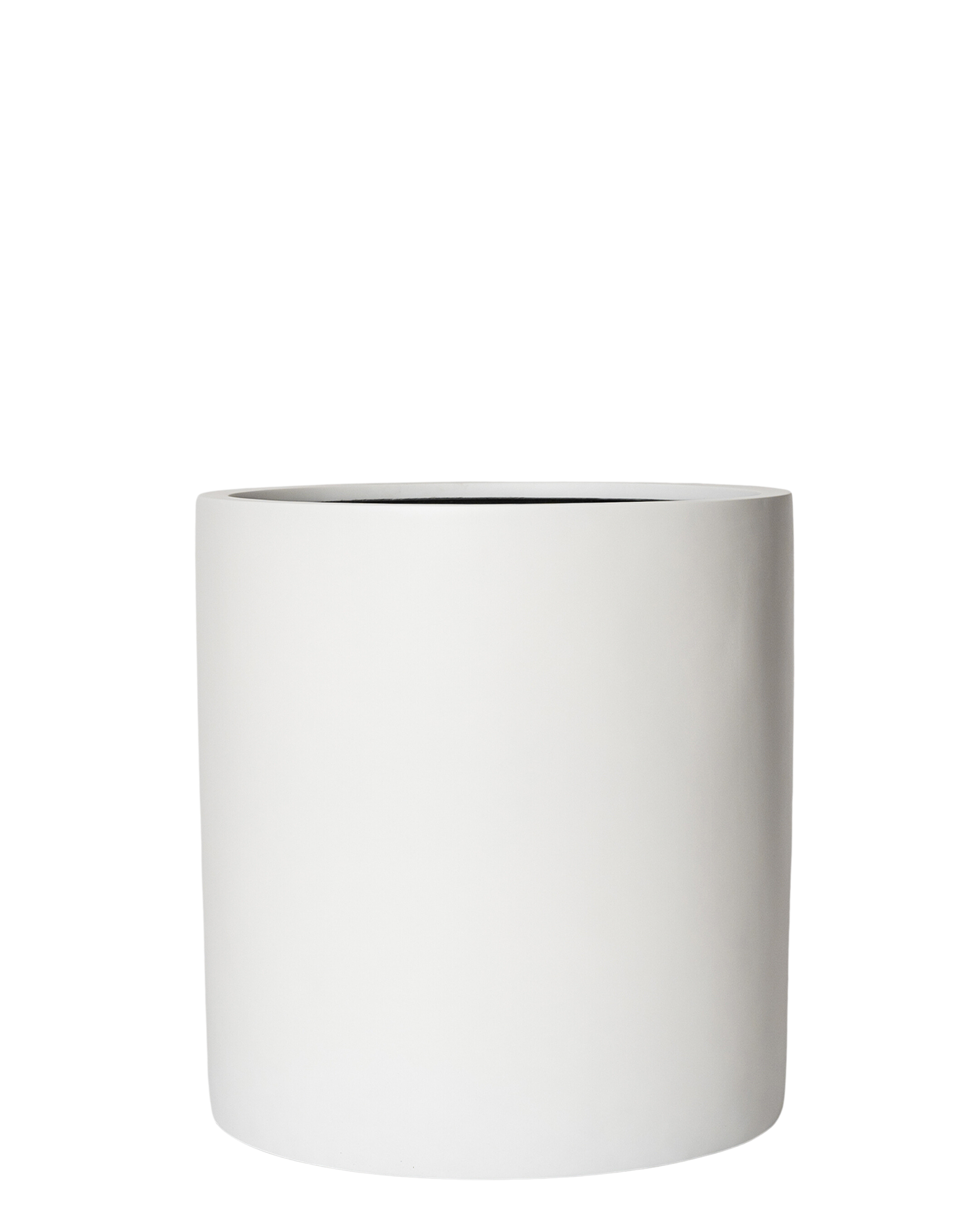 Joni Pot