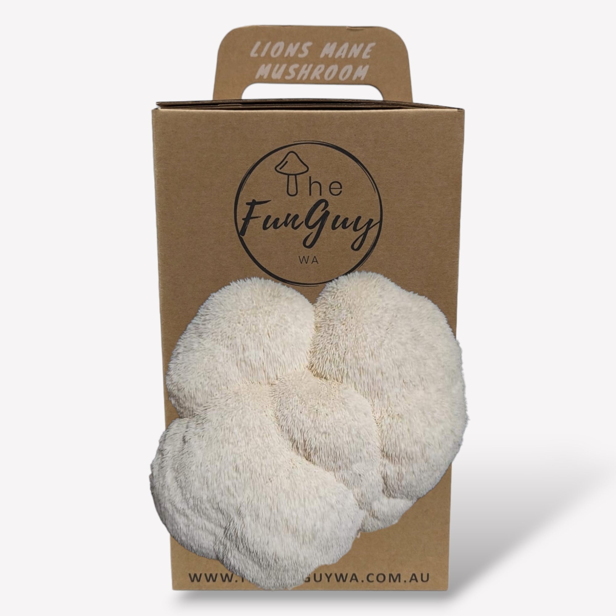 Lions Mane Mushroom Grow Kit