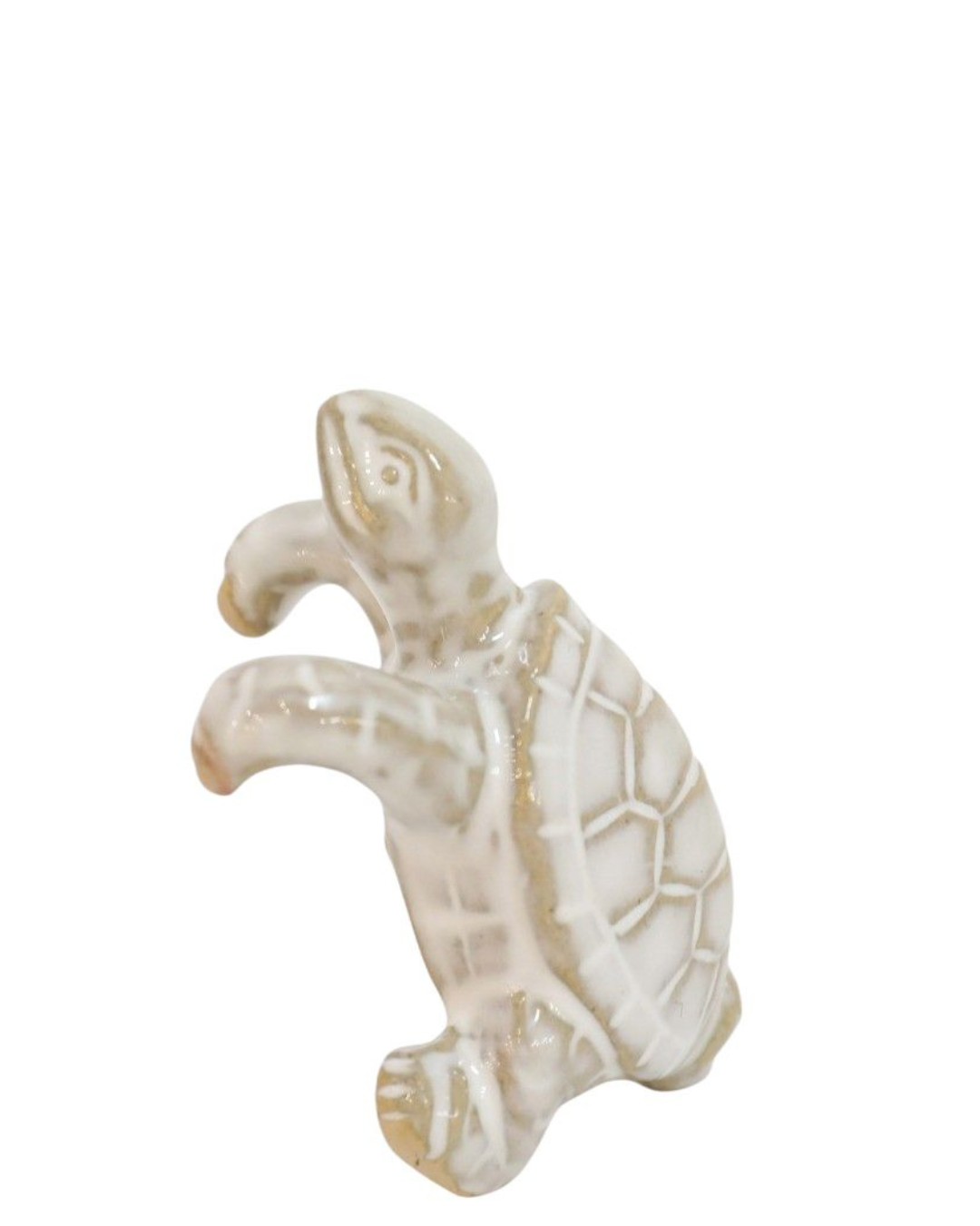 Turtle Pot Hanger