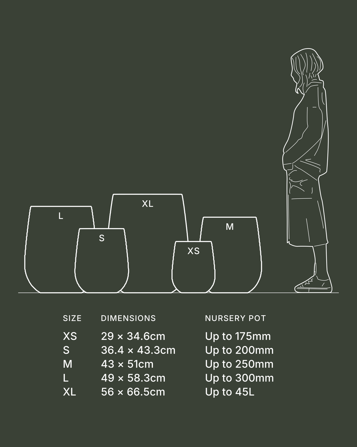 Terreno Westringia Pot: every size drawn to scale beside a standing figure, with dimensions and the nursery pot size each one takes