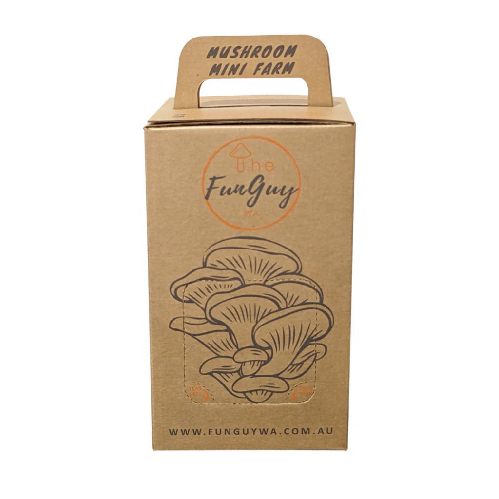 Winter White Oyster Mushroom Grow Kit