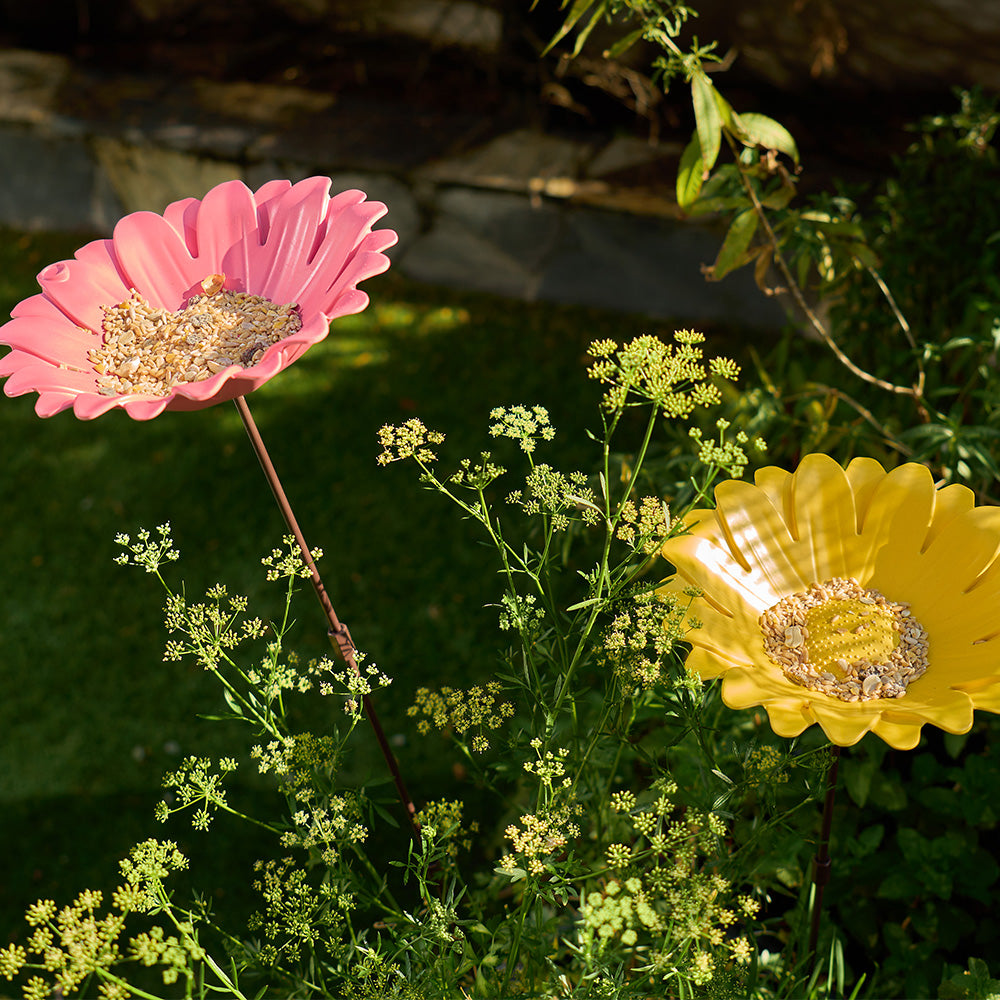 Bird Bath Bamboo Sunflower Pink