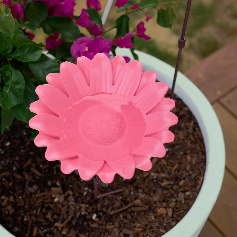 Bird Bath Bamboo Sunflower Pink