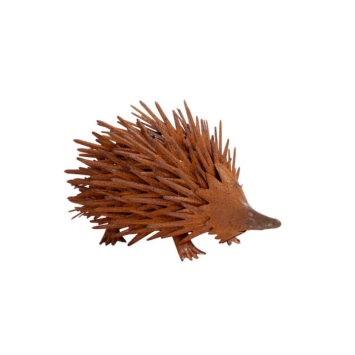 Echidna Rust Rust SMALL