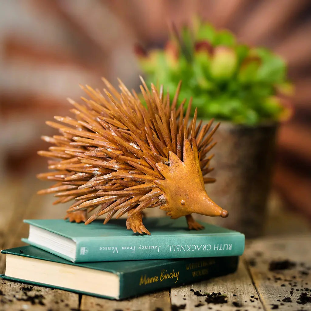 Echidna Rust Rust SMALL