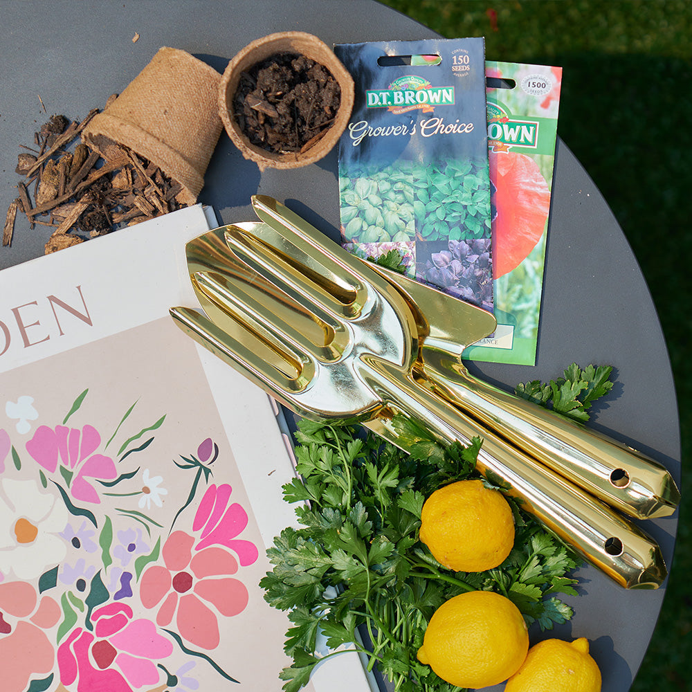 Garden Tools - Set 2 Gold