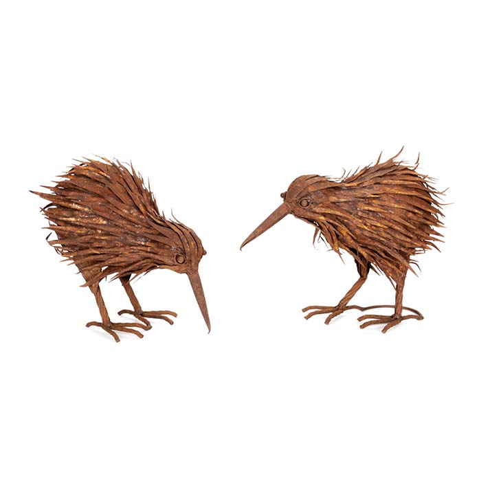 Kiwi Rust Rust