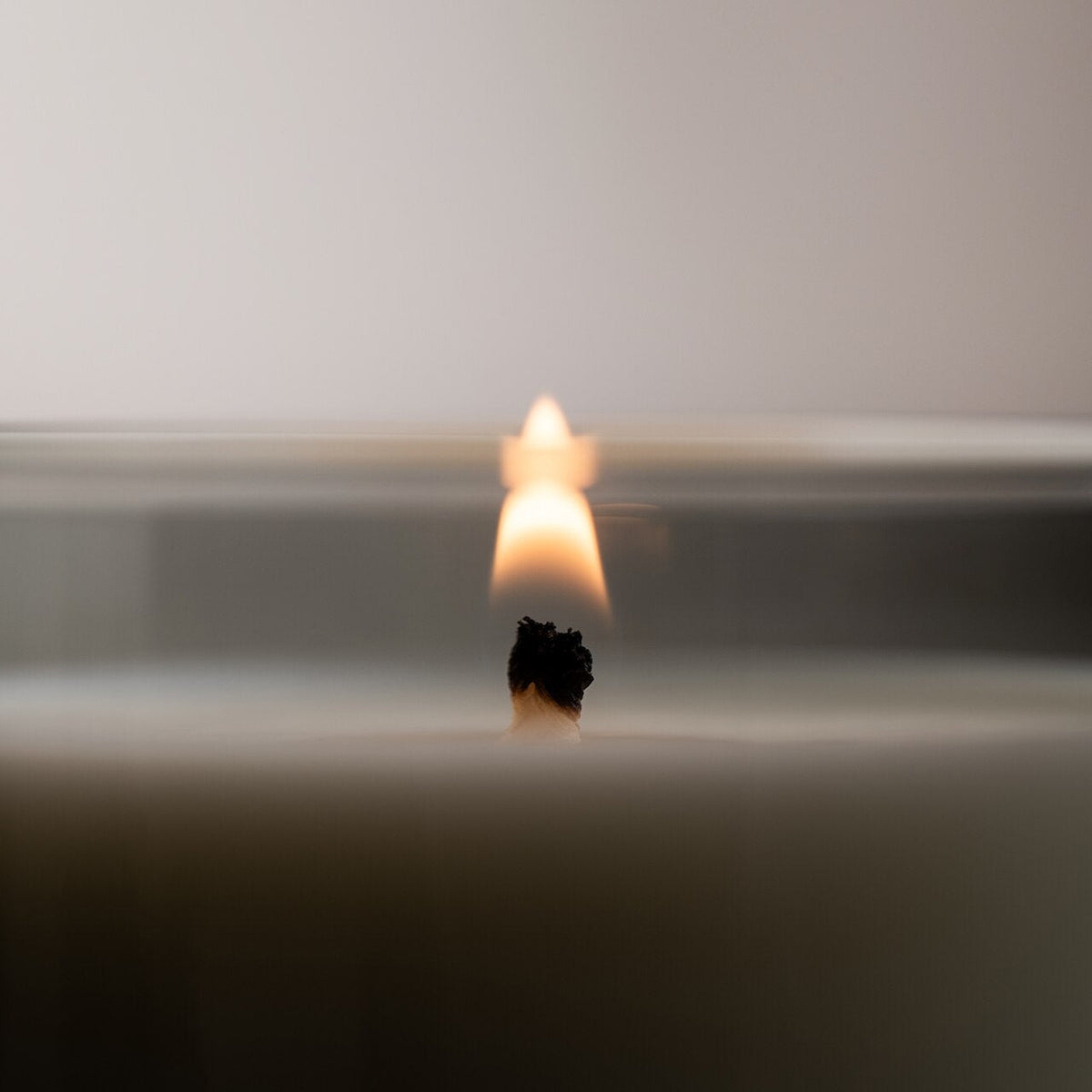 Scented Candle - Native Botanical Native Botanical