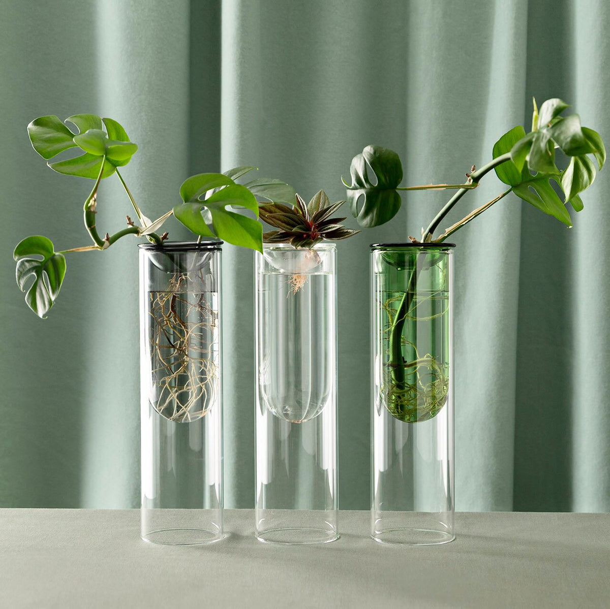 Studio Milligram Propagation Vase Clear