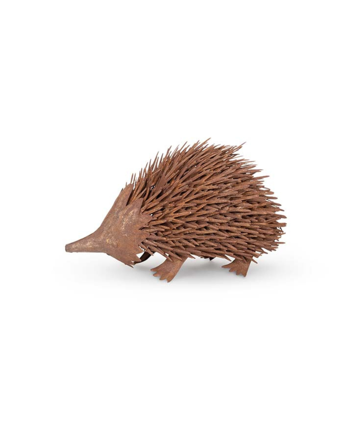 Echidna Rust Small