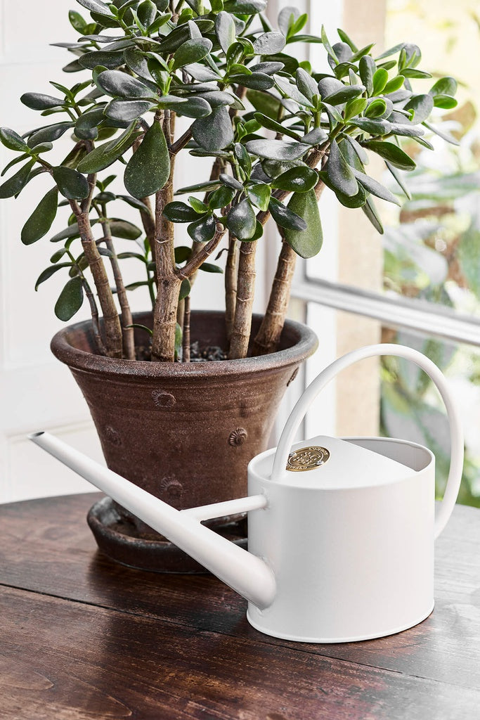 Sophie Conran Indoor Watering Can