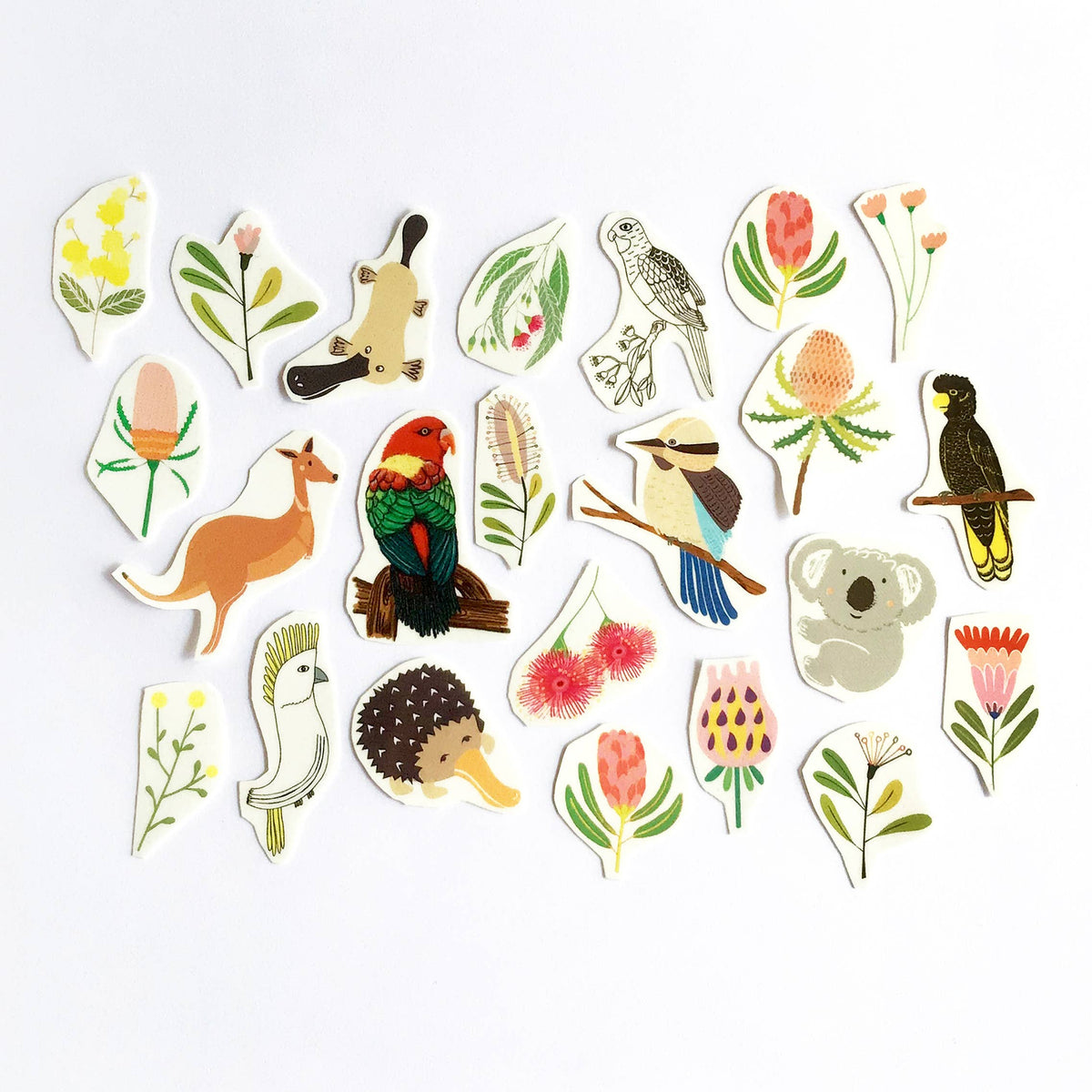 Australiana Flora and Fauna Temporary Tattoo Tin