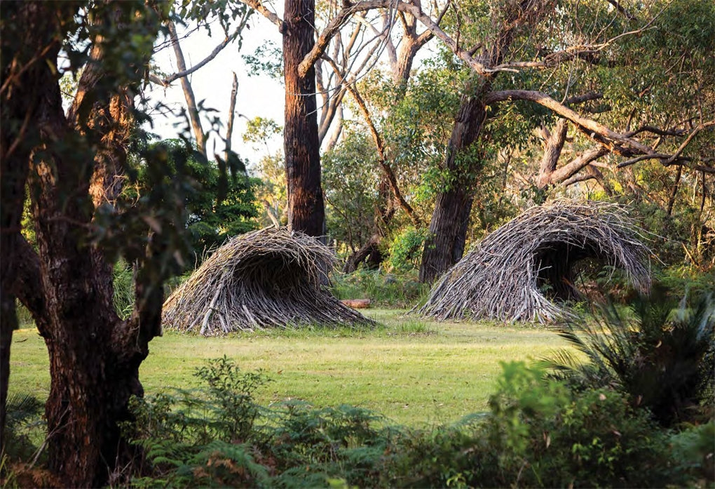 An Australian Garden