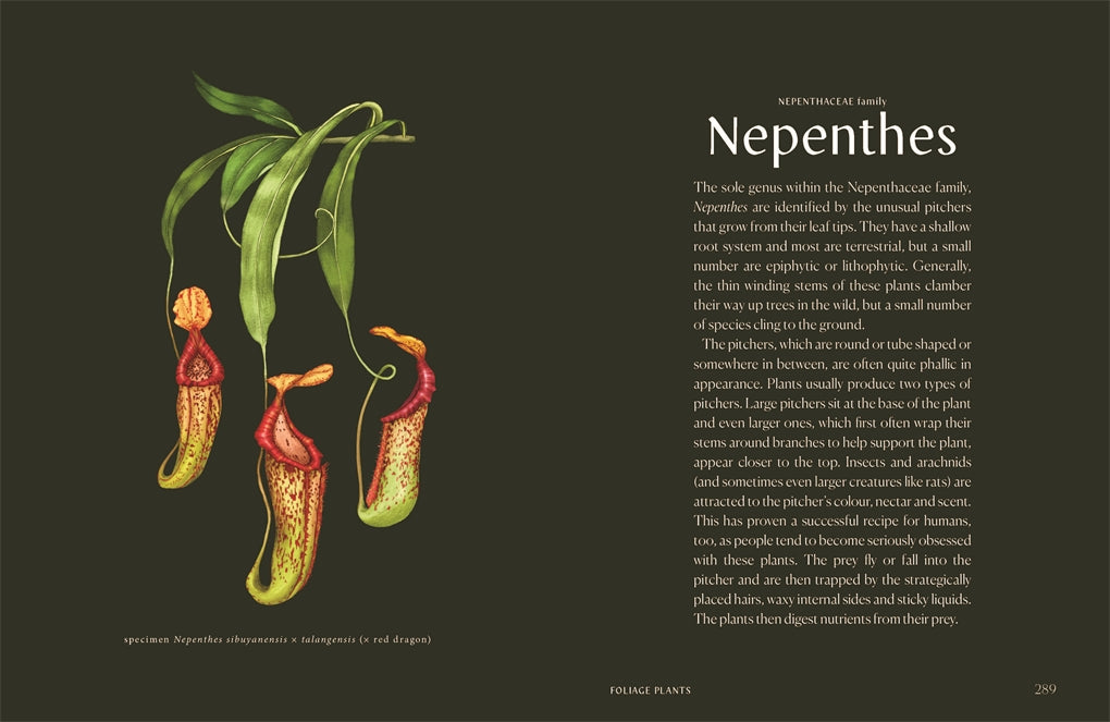 Plantopedia