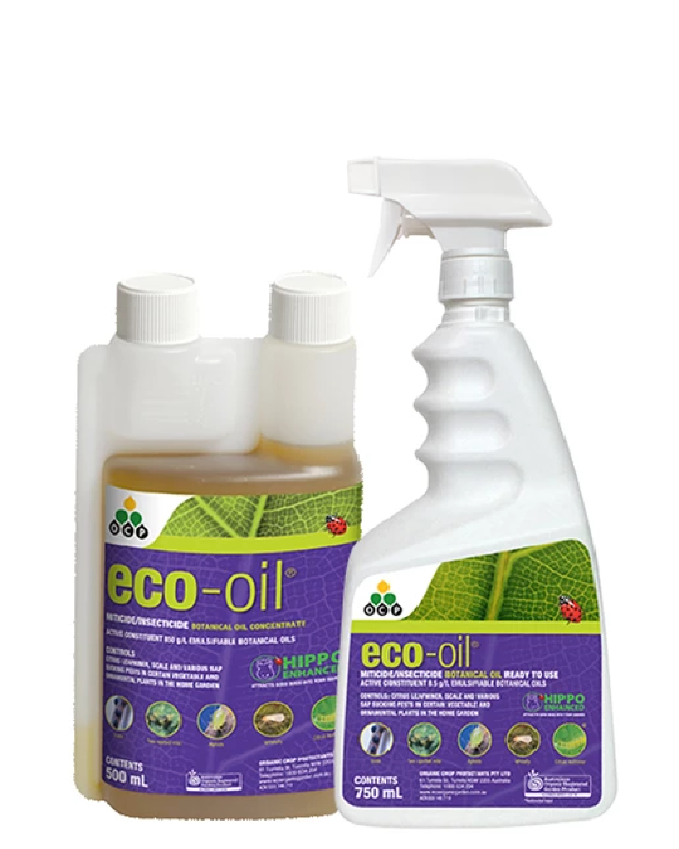 Eco Oil