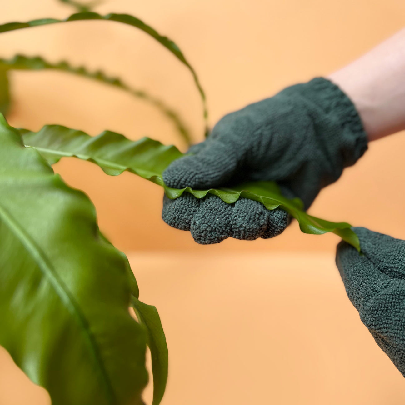 We The Wild Leaf Cleaning Gloves