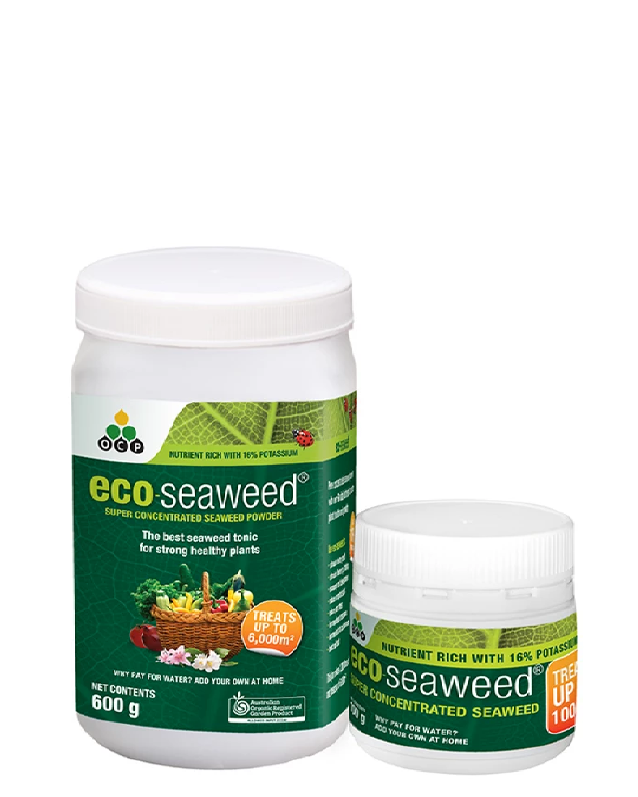 Eco Seaweed