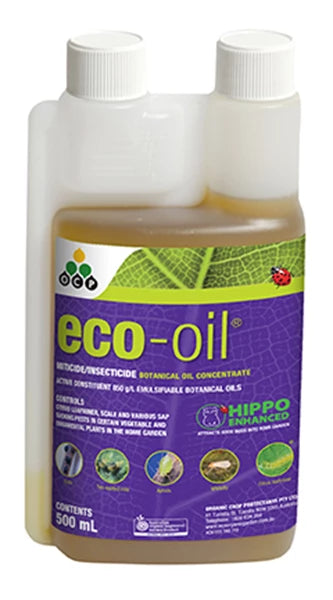 Eco Oil