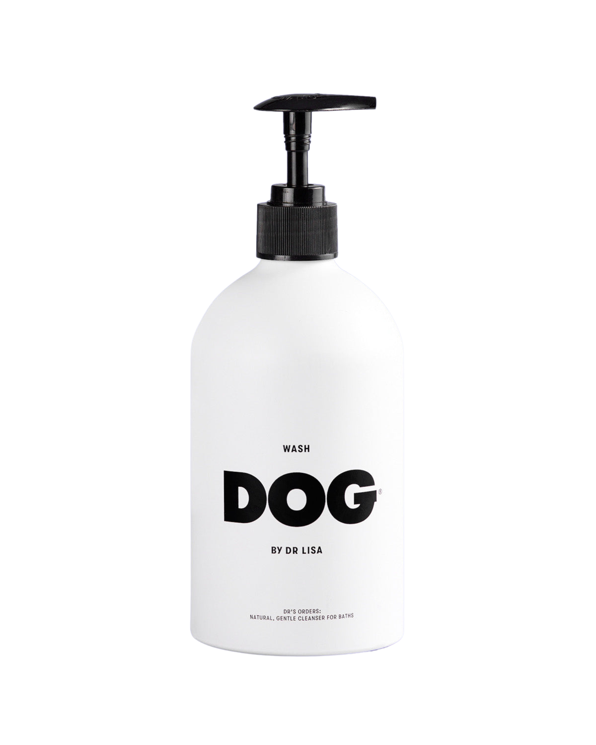 DOG by Dr Lisa Wash