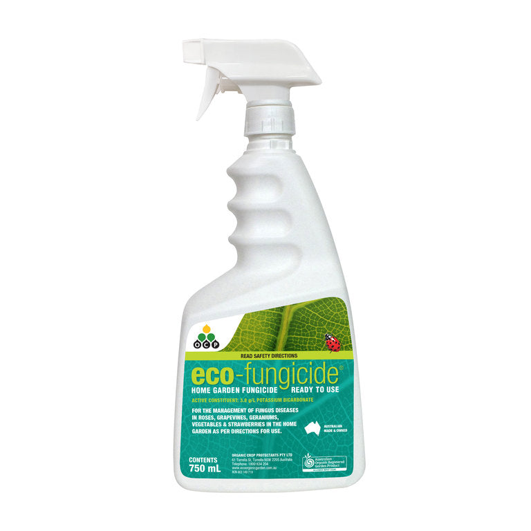 Eco Fungicide - 750ml