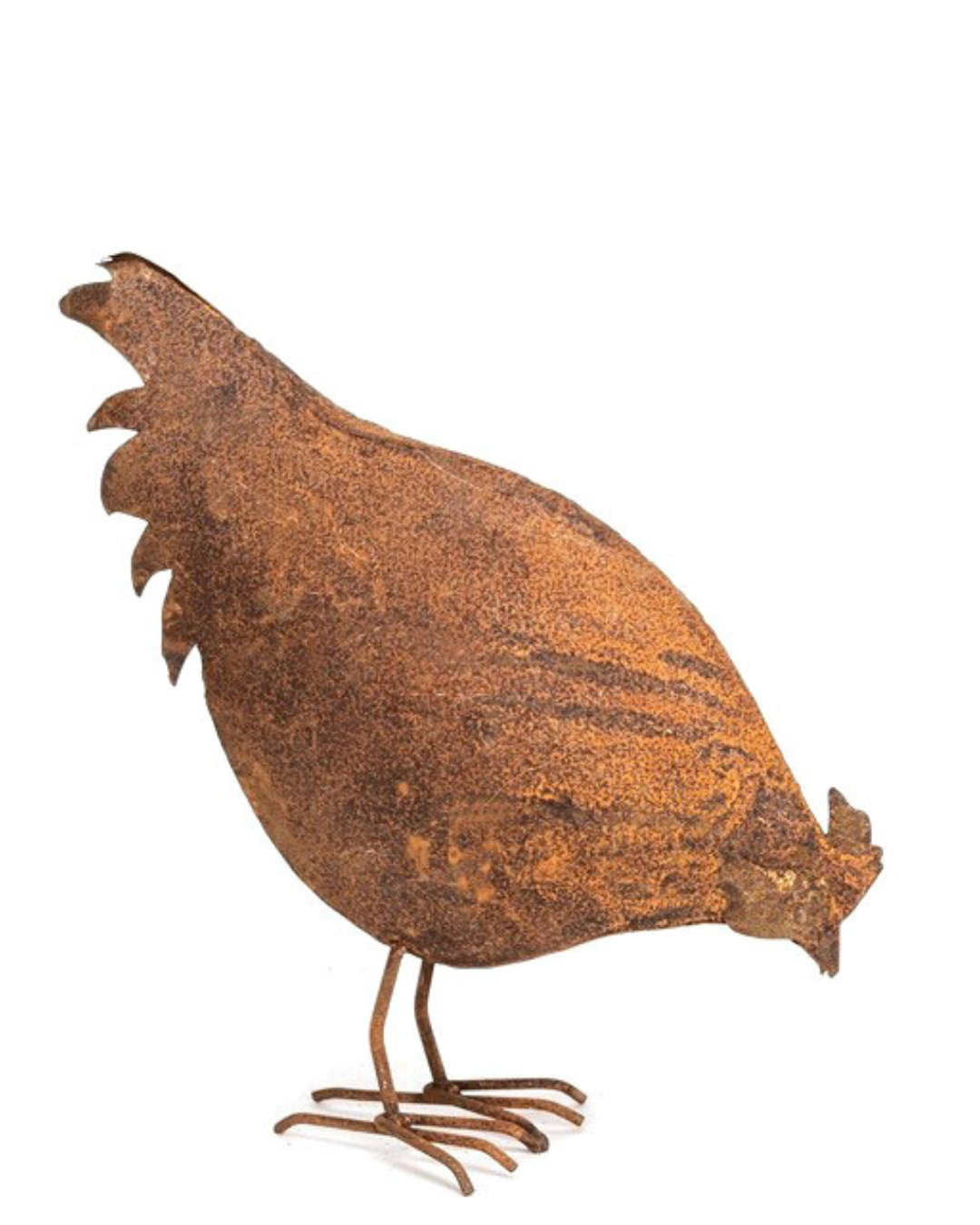 Chicken Feeding Rust