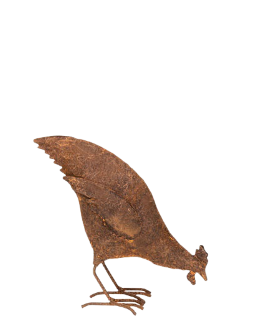 Chicken Feeding Rust