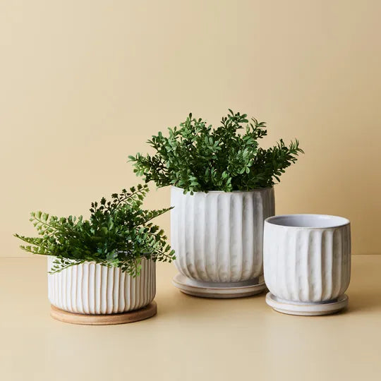 Clovelly Pot with Saucer
