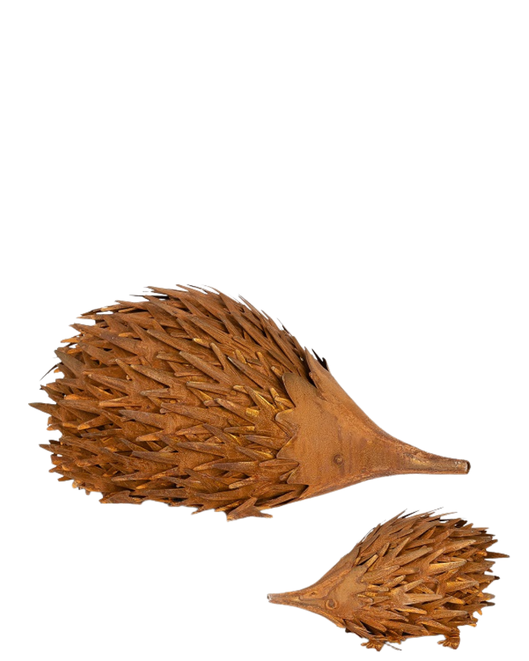 Echidna Rust