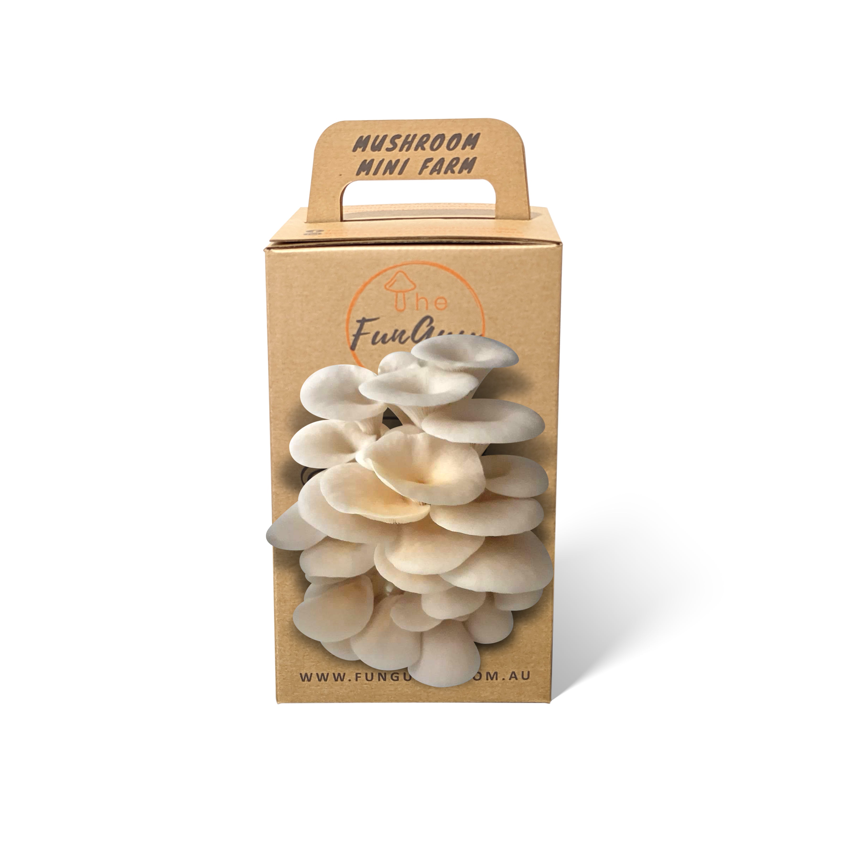 Elm Oyster Mushroom Grow Kit