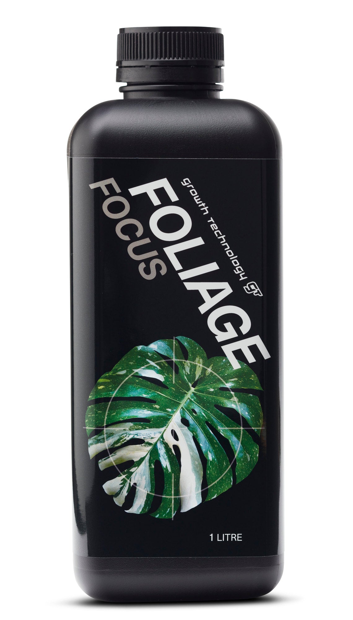 Foliage Focus