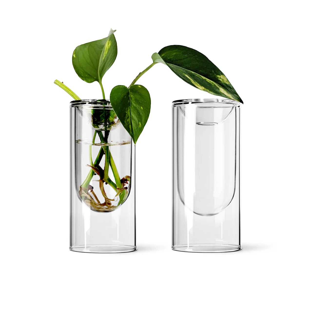Propagation Vase - Set of Two