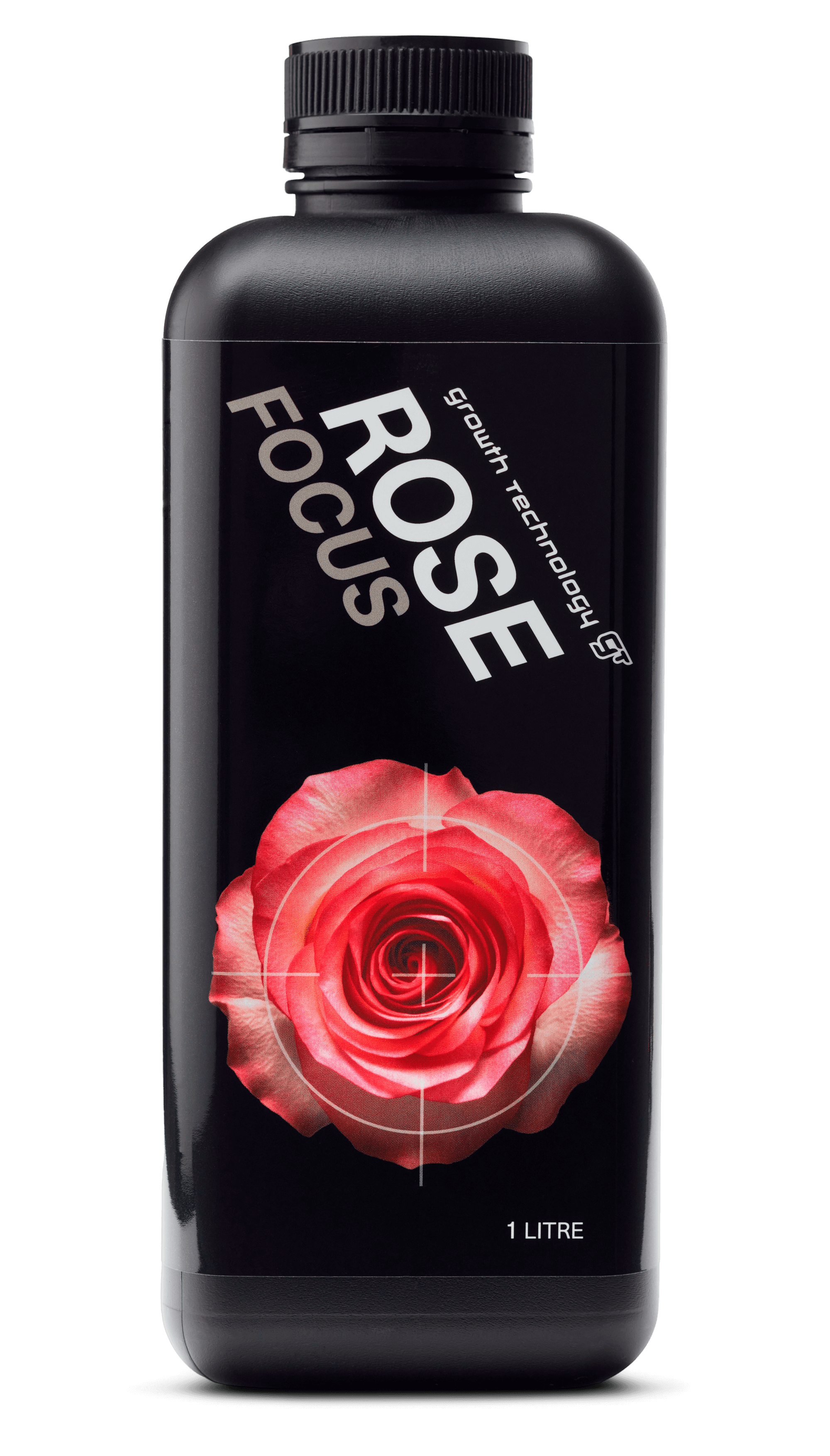Rose Focus