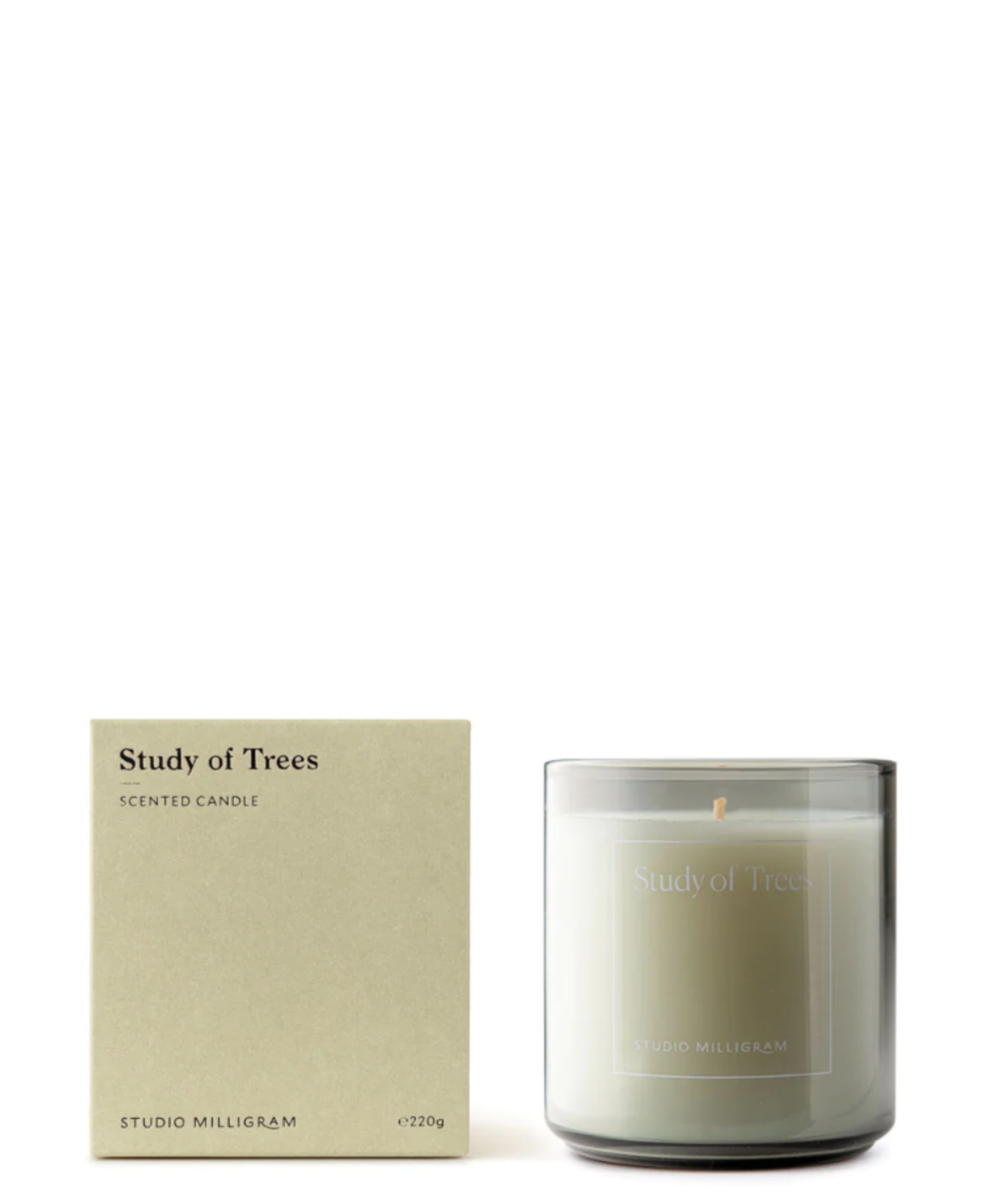 Scented Candle - Study of Trees