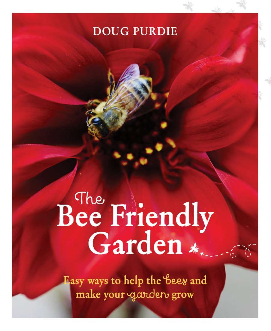 Bee Friendly Garden