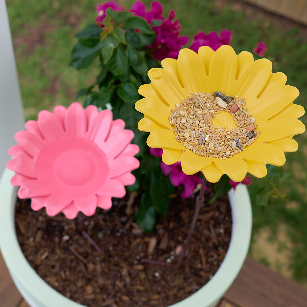 Bird Bath Bamboo Sunflower Yellow